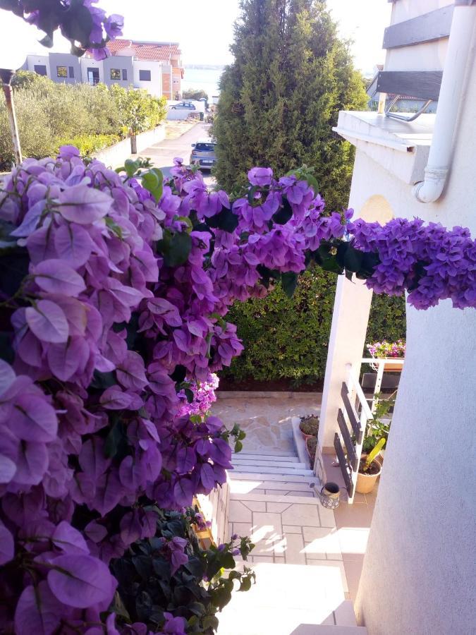 Apartman Milutin فرسي المظهر الخارجي الصورة